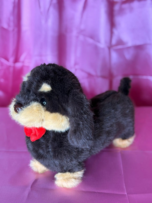 Perro Salchicha. 31353