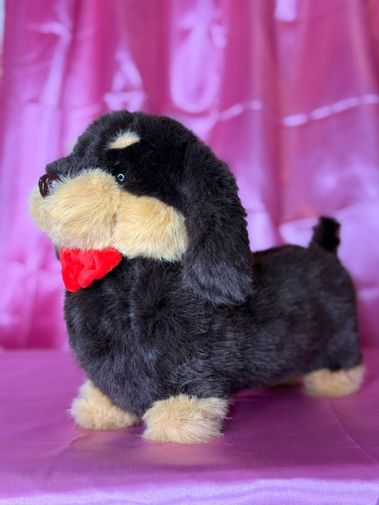 Perro Salchicha. 31353