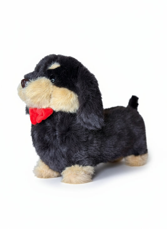 Perro Salchicha. 31353