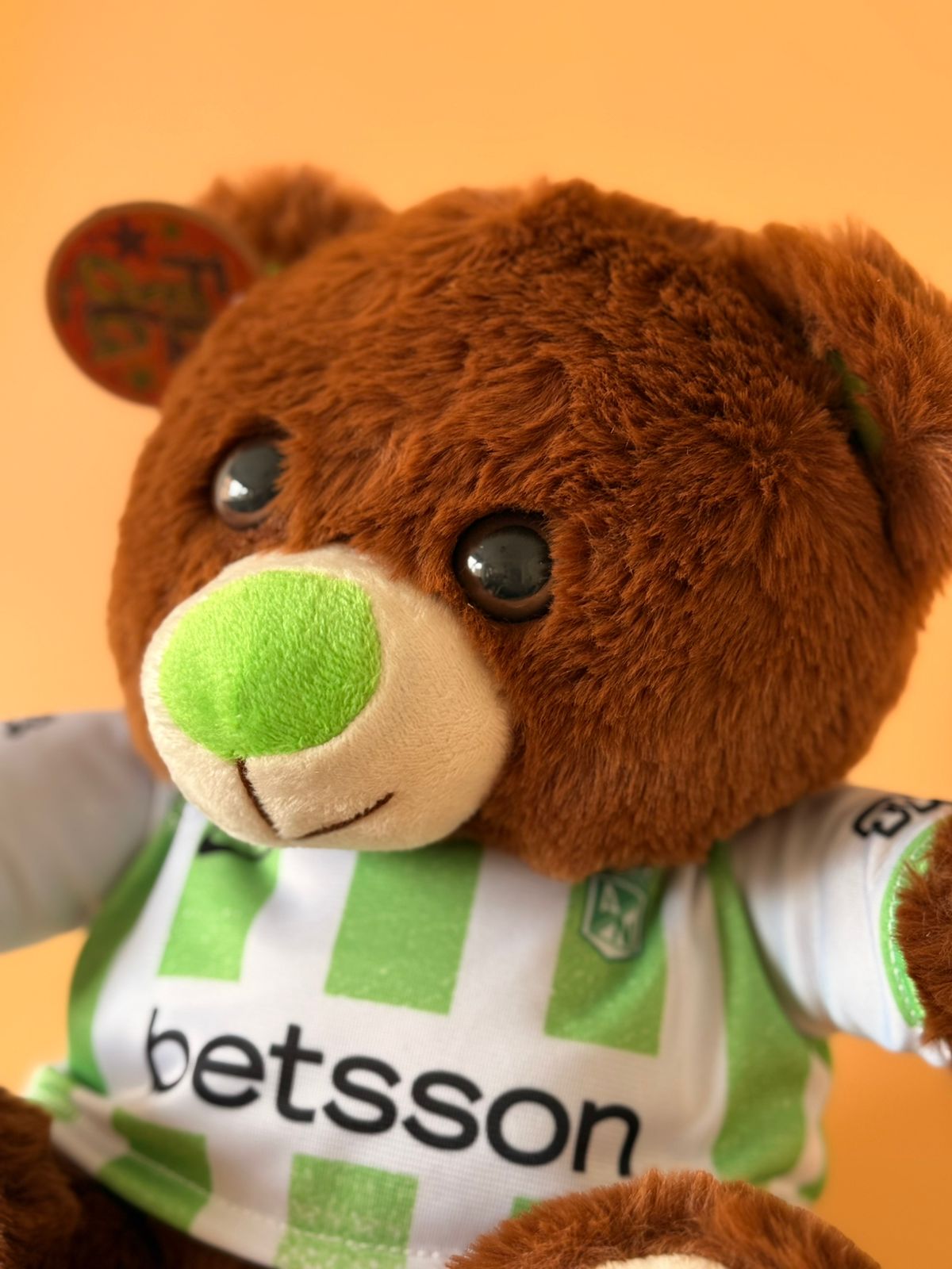 Osito nacional 31367