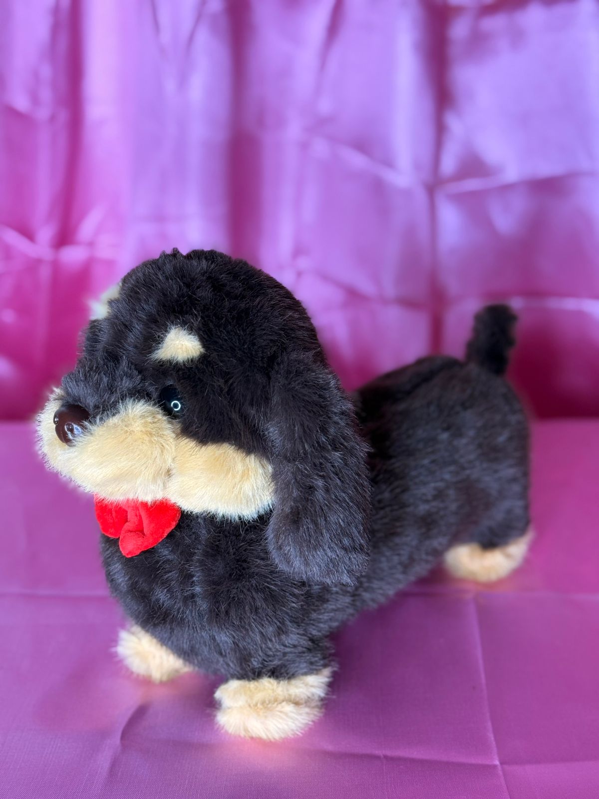 Perro Salchicha. 31353
