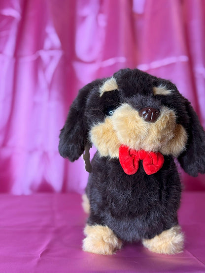 Perro Salchicha. 31353