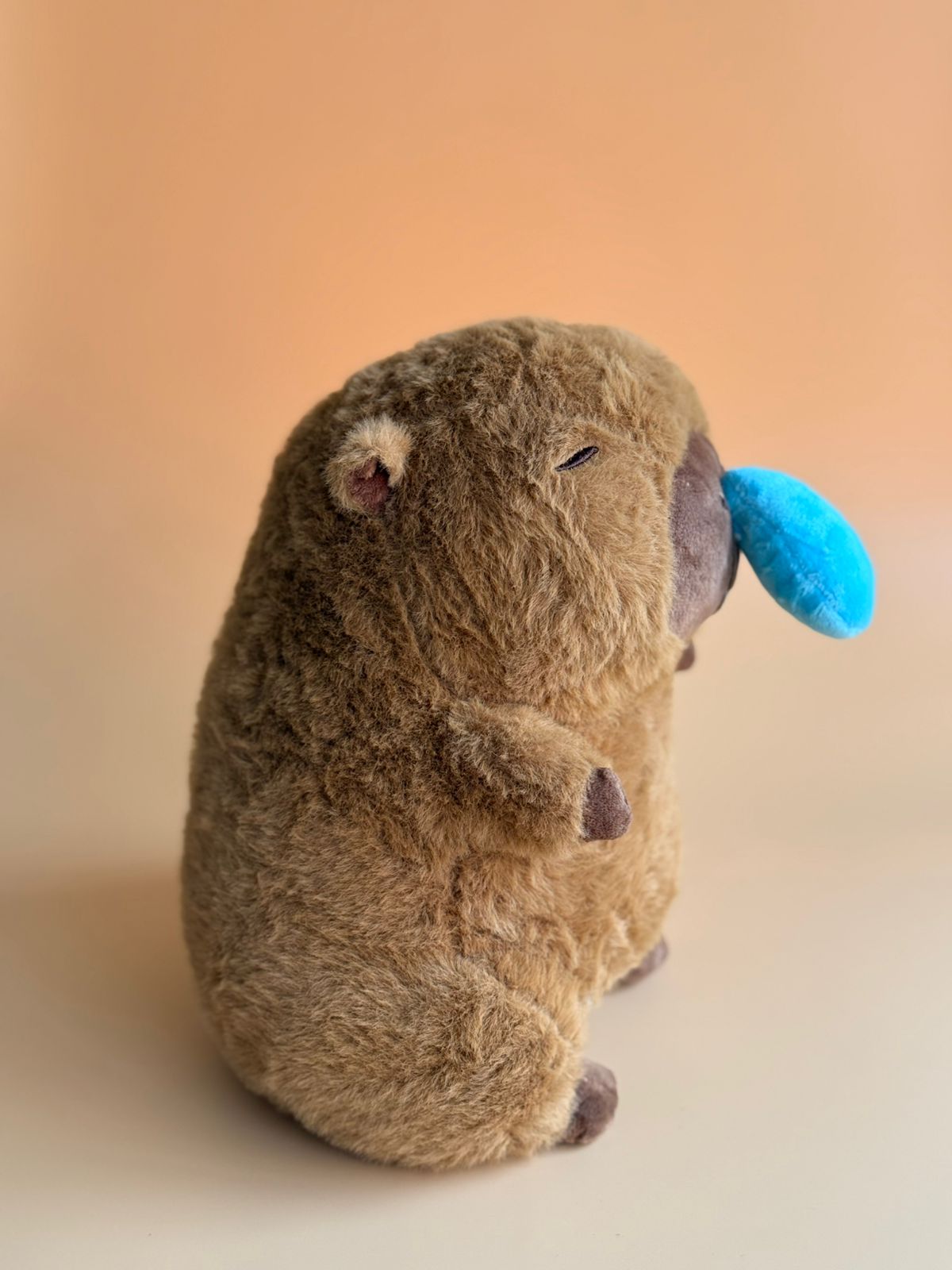 Capibara moco 27 cm 31466