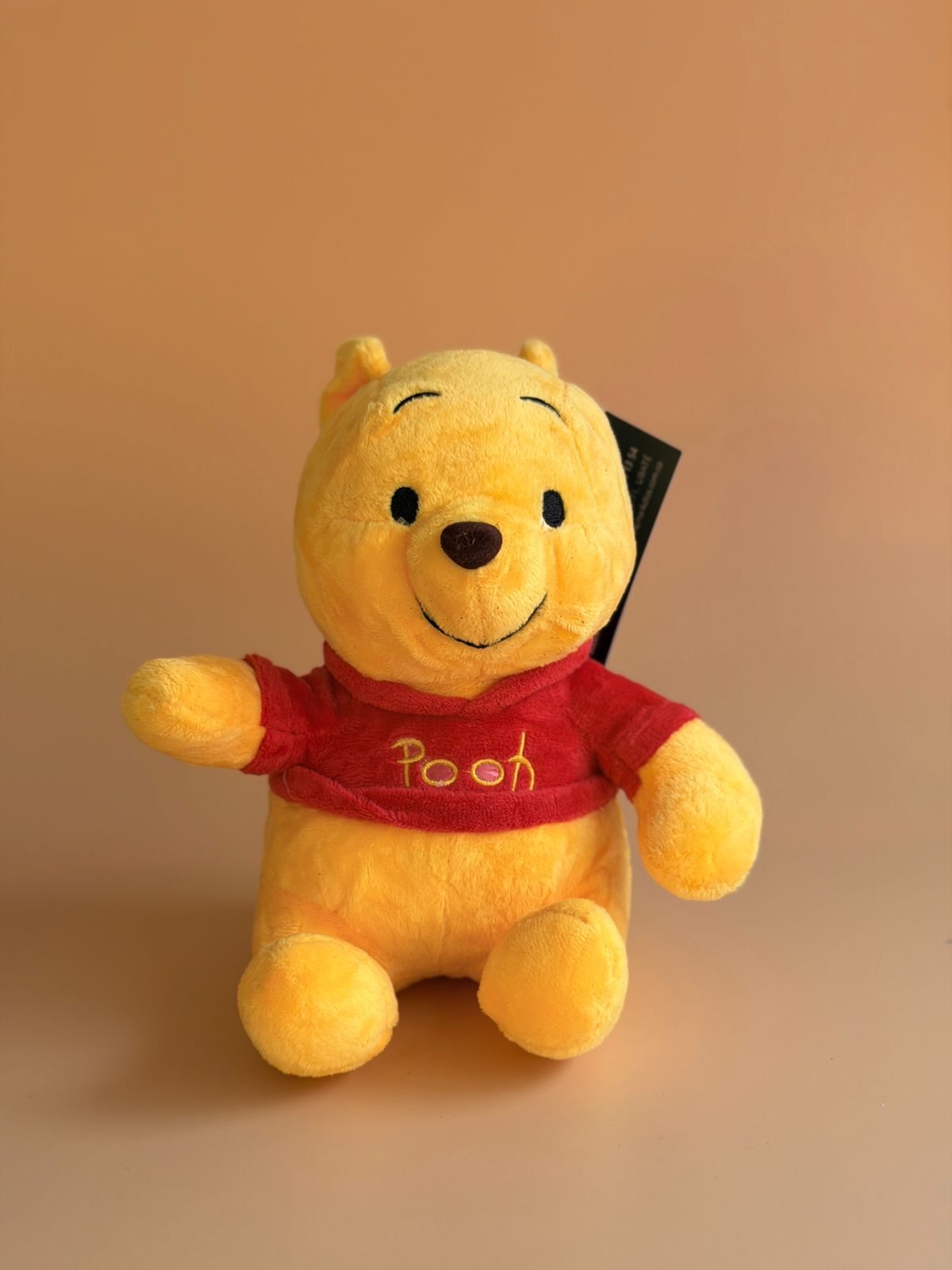 Winnie Pooh 22cm 31737