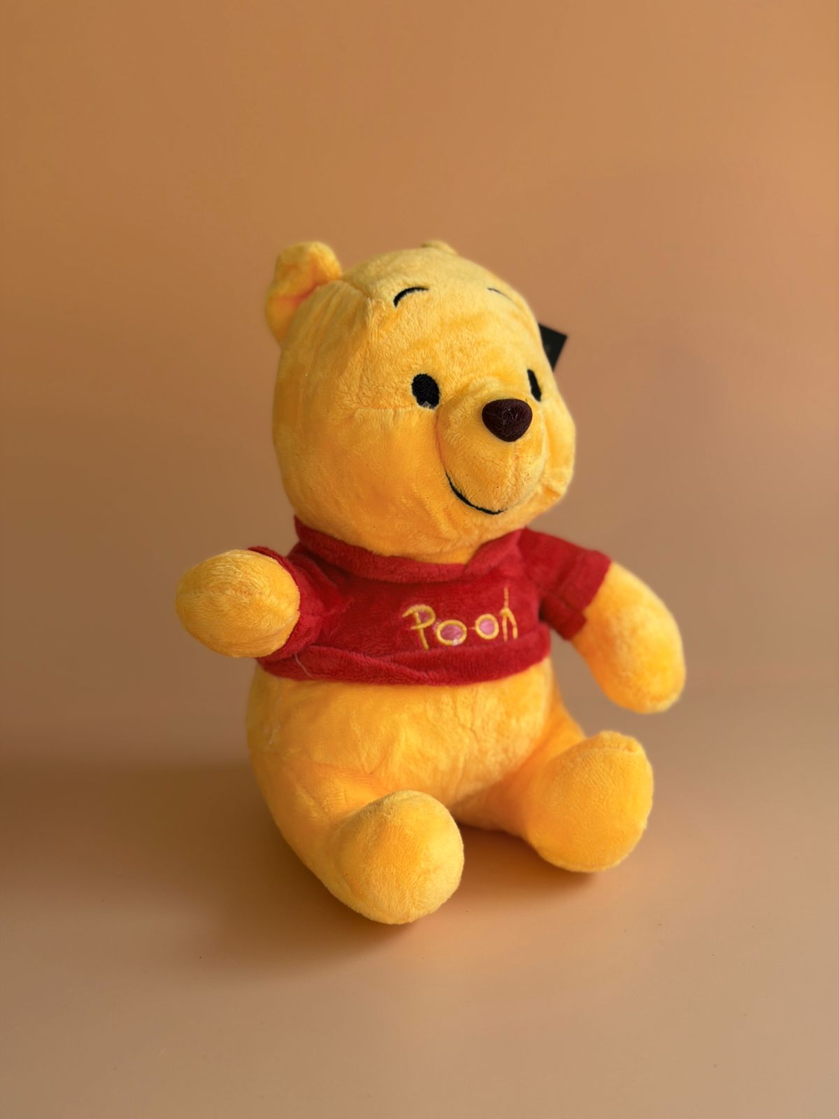 Winnie Pooh 22cm 31737