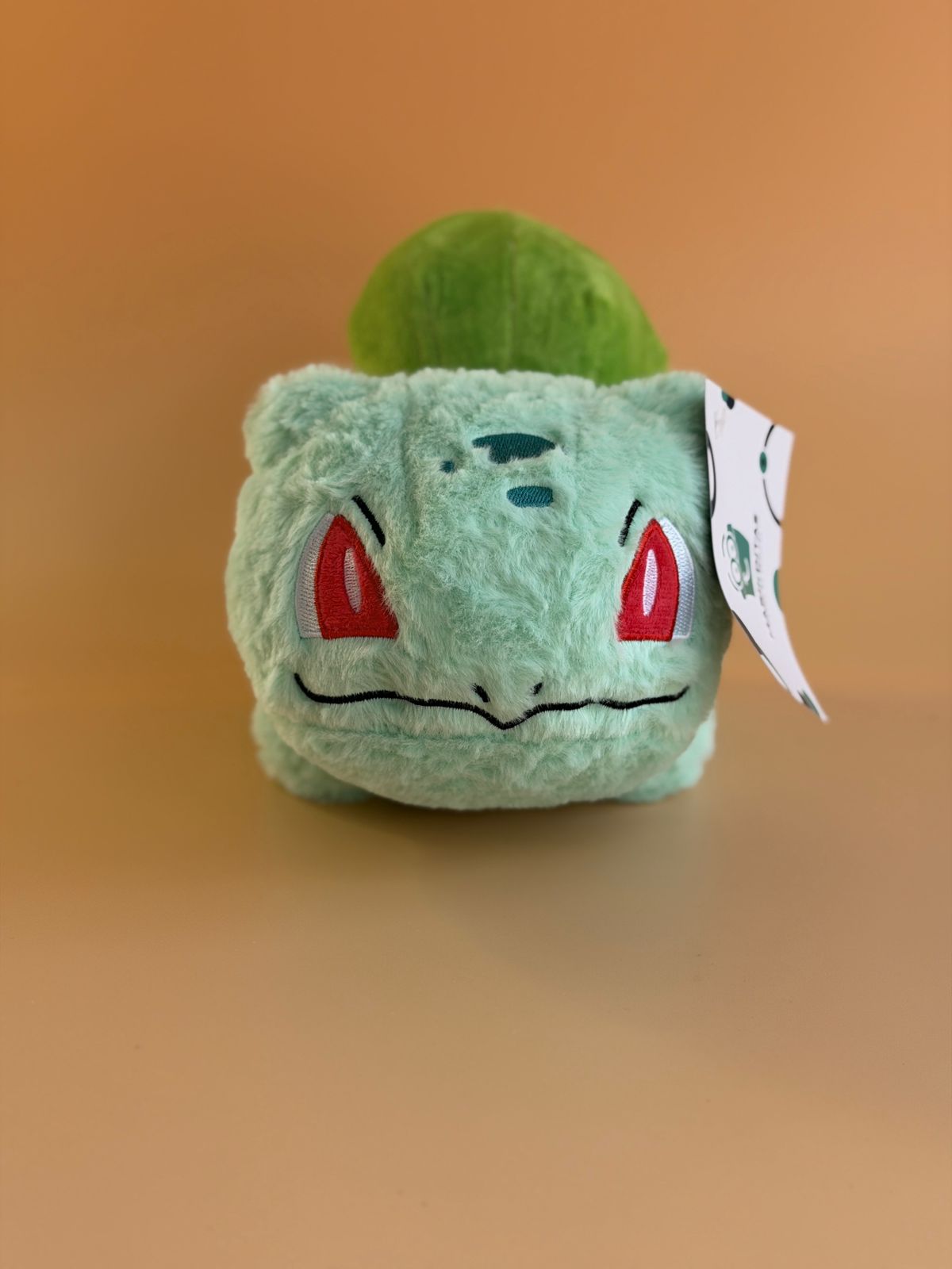 Bulbasaur Pokemon 18cm | Marikditas