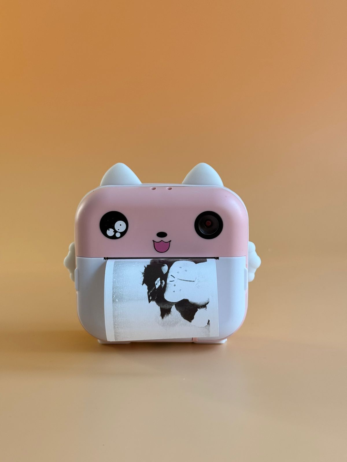 Camara print 31881